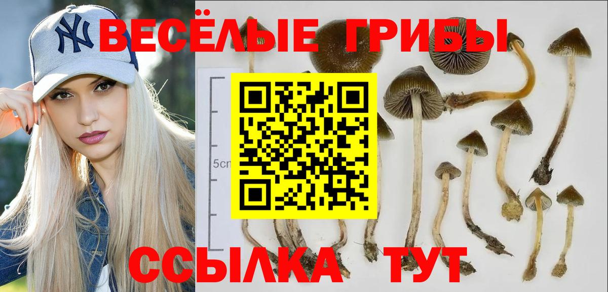 Галлюциногенные грибы мухоморы Ступино