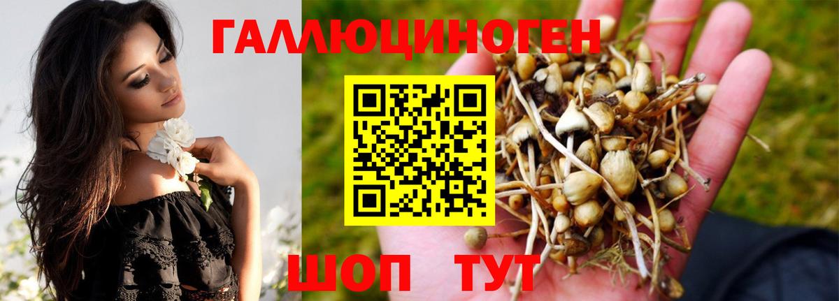 Ступино  Псилоцибиновые грибы мухоморы  Вход с VPN 